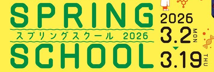Spring/Summer School
